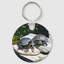 Twin Turtles -