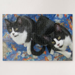 Twin Tuxedo Kitties Jigsaw Puzzle