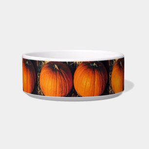 Twin Vintage Pumpkins Bowl