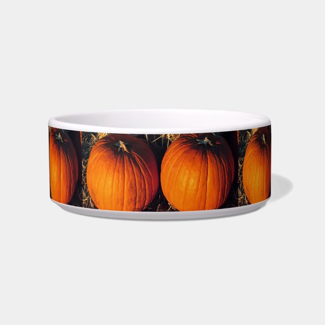 Twin Vintage Pumpkins  Bowl (Front)