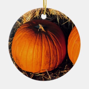 Twin Vintage Pumpkins Ceramic Tree Decoration