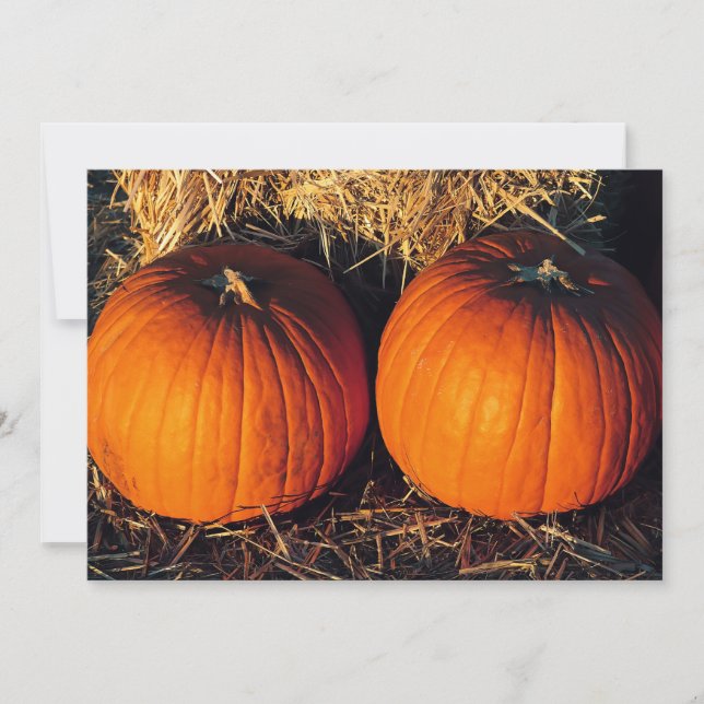 Twin Vintage Pumpkins  Invitation (Front)