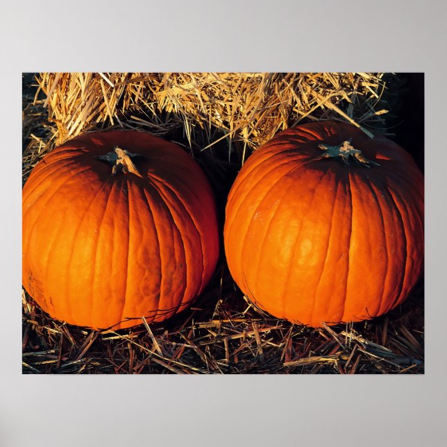 Twin Vintage Pumpkins  Poster (Front)