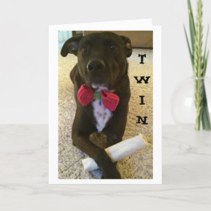 TWIN-WANT TO SAY HAPPY BIRTHDAY AND ENJOY! CARD