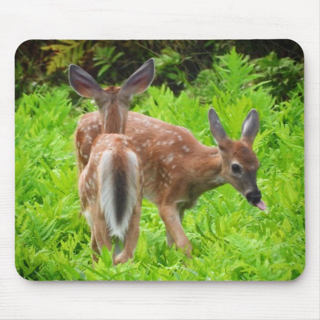 Twin White Tail Deer Fawns Mouse Mat (Front)