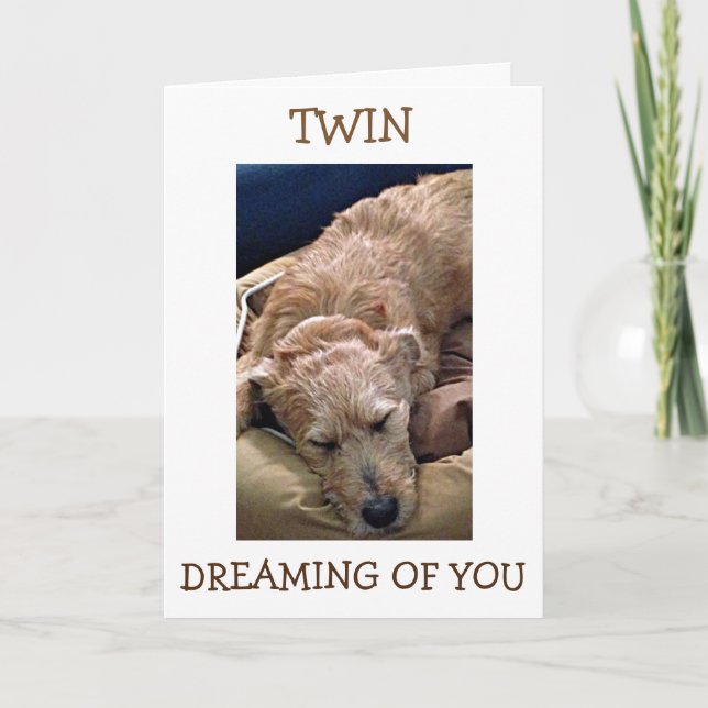 TWIN=YOUR BIRTHDAY MY THOUGHTS ARE ALL ABOUT "YOU" CARD (Front)