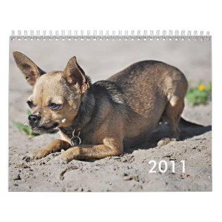 Twinkie's 2011 Academic Calendar