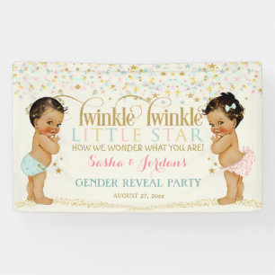 Twinkle Little Star Baby Gender Reveal Ethnic Banner