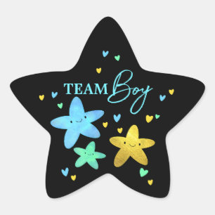 Twinkle Little Star Gender Reveal Team Boy Star St Sticker