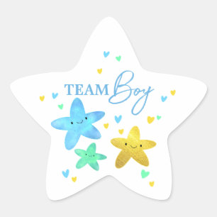 Twinkle Little Star Gender Reveal Team Boy Star Sticker