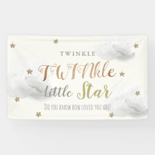 TWINkle Little Star Grey Baby Shower Banner