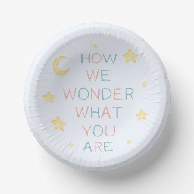 Twinkle Little Star How We Wonder Gender Reveal Paper Plate (Front)