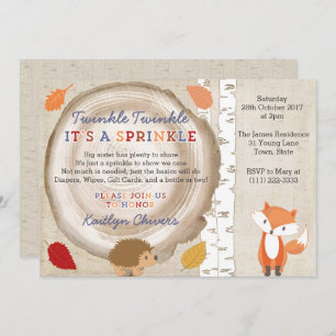 Twinkle Sprinkle Poem, Second Baby Party for Boy Invitation