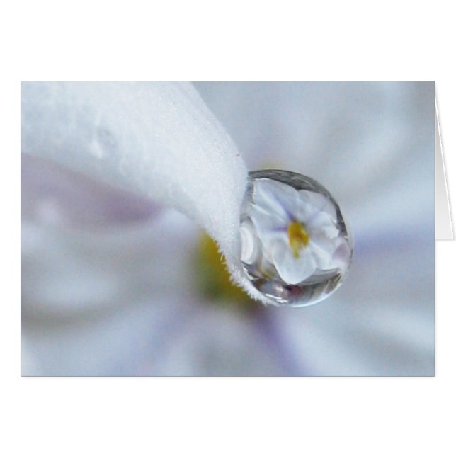 Twinkle Twinkle Card (Front Horizontal)