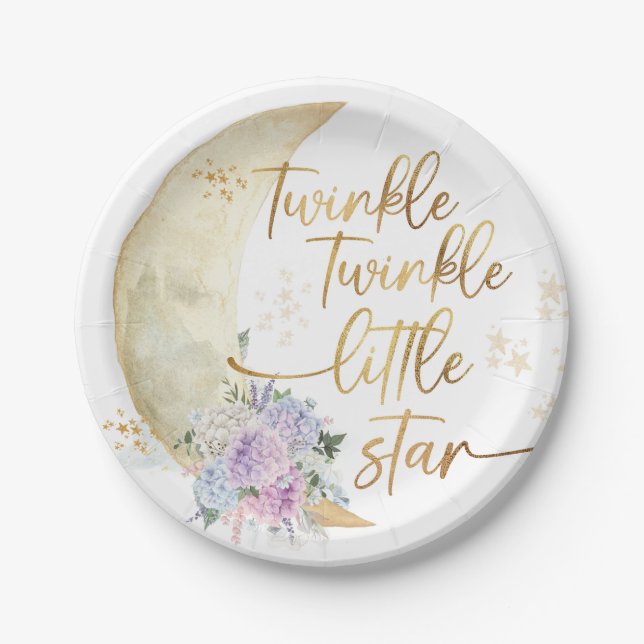 Twinkle Twinkle Little Star Baby Shower Paper Plate (Front)