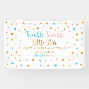 Twinkle Twinkle Little Star Gender Reveal backdrop Banner