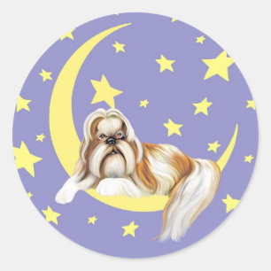 Twinkle Twinkle Shih Tzu Classic Round Sticker