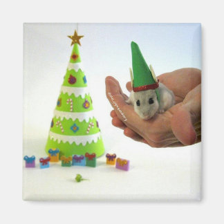 Twinkletoes the Elf! Magnet