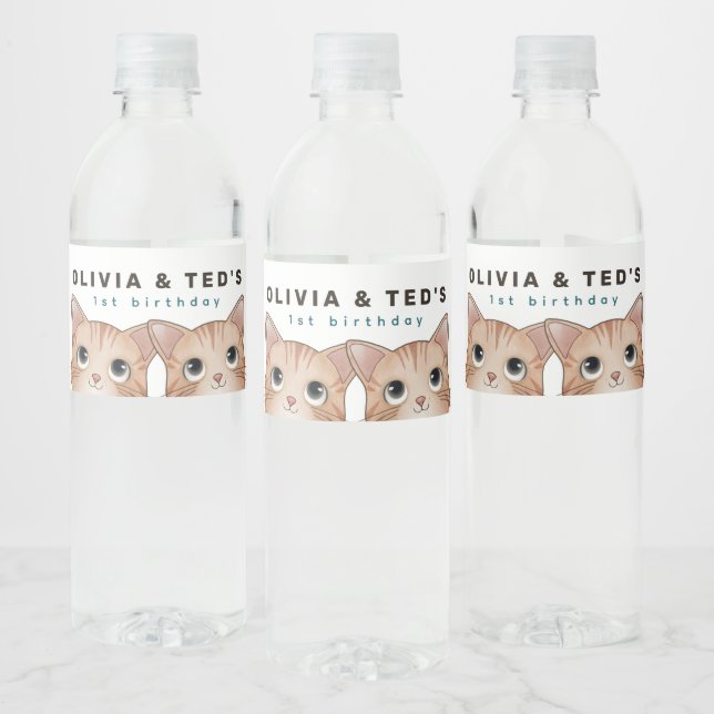 Twins Birthday party with lovely kittens Water Bottle Label (Bottles)