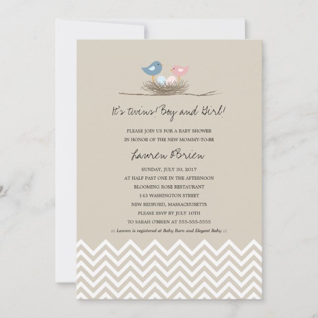 Twins Boy and Girl Bird's Nest Baby Shower Invitation (Front)