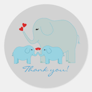 Twins Boy Thank You Stickers