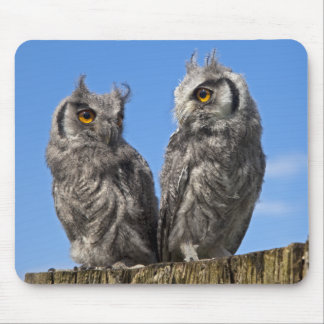 Twins Mousemat