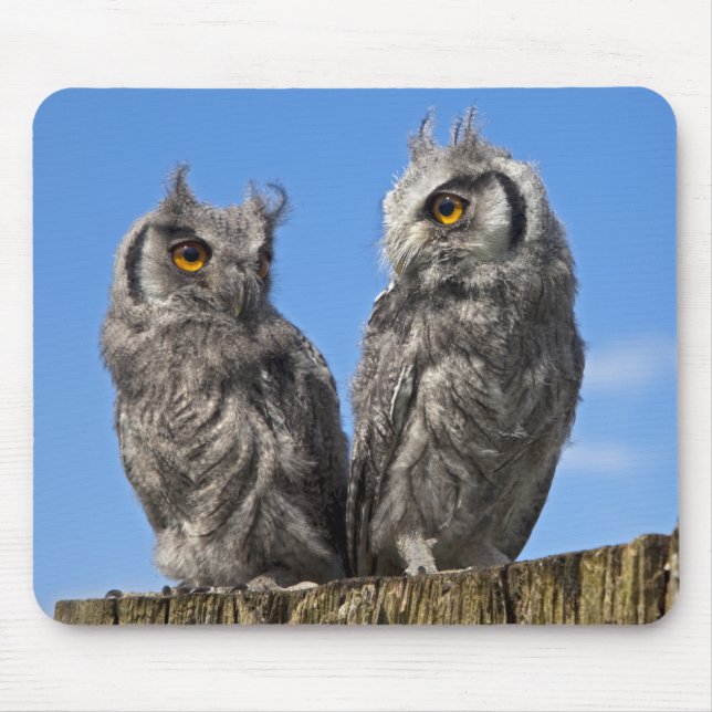 Twins Mousemat (Front)