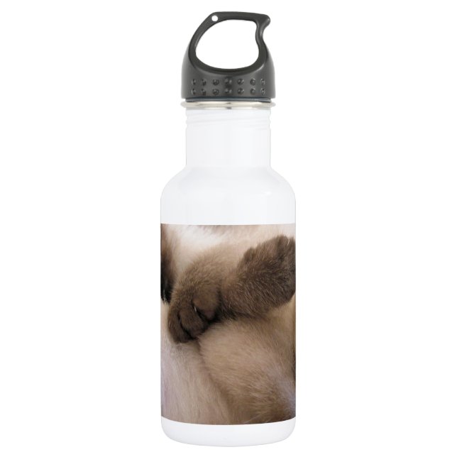 Twins Pet Cat Cute Siamese Kitten 532 Ml Water Bottle (Front)