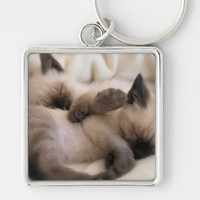 Twins Pet Cat Cute Siamese Kitten Key Ring (Front)