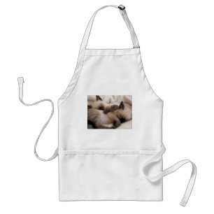 Twins Pet Cat Cute Siamese Kitten Standard Apron