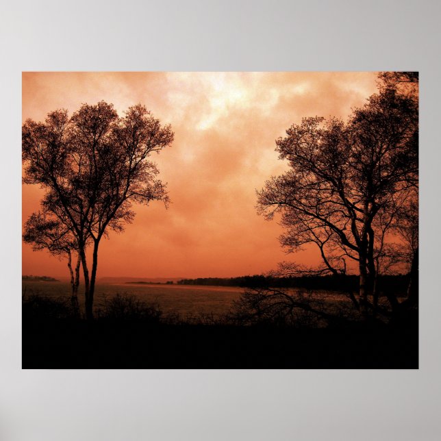 Twins Poster (Front)