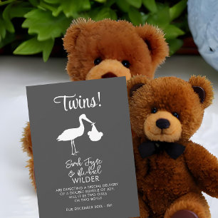 Twins Pregnancy Announcement Card Modern Stork
