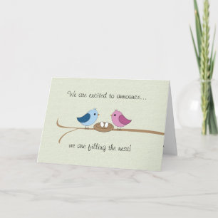 Twins Pregnancy Announcement (Filling the Nest)