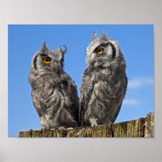 Twins Print