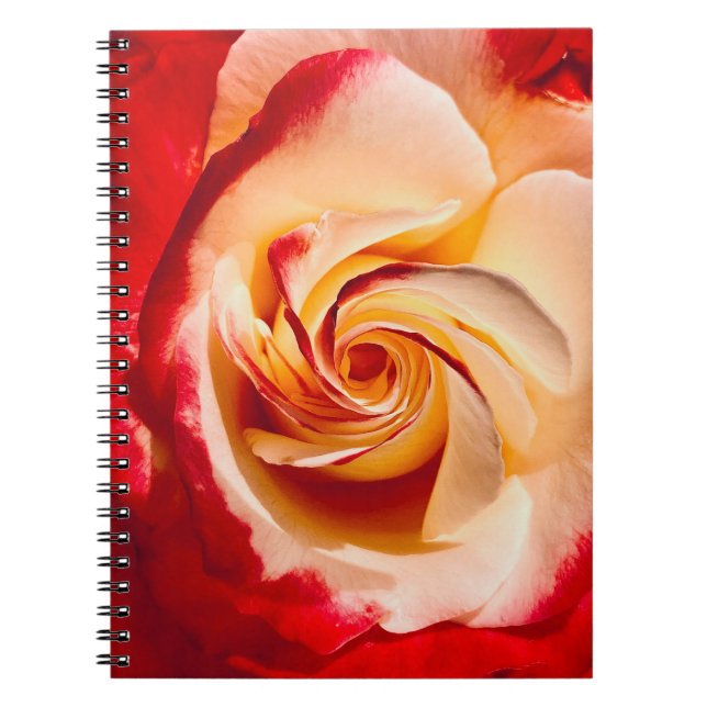 Twirling Rose Notebook  (Front)