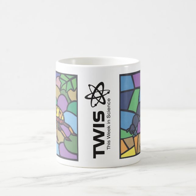 TWIS #blairsanimalcorner Beetle Mania Mug (Center)