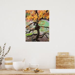 Twisted Autumn Japanese Maple Tree Poster