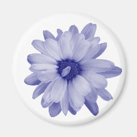 twisted blue petal