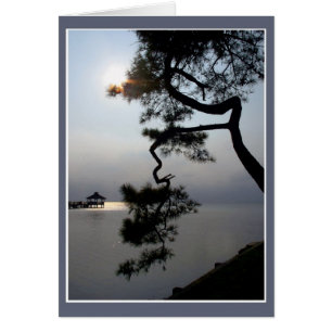 Twisted Pine