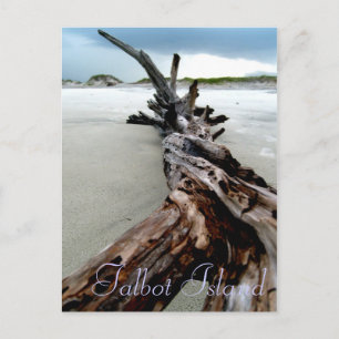Twisted Postcard