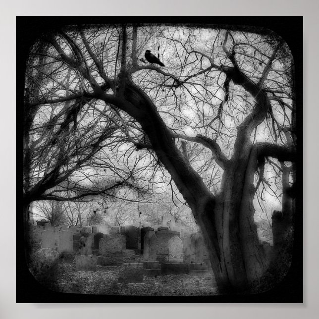 Twisted Poster (Front)