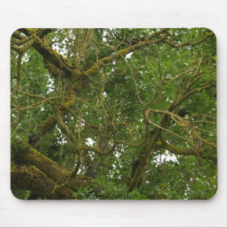 Twisted Tree Mouse Mat