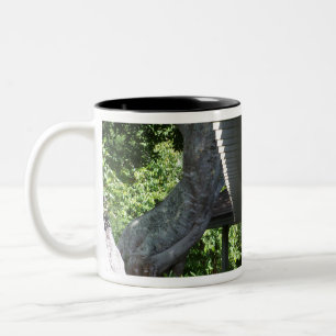 twisted tree trunk Two-Tone coffee mug