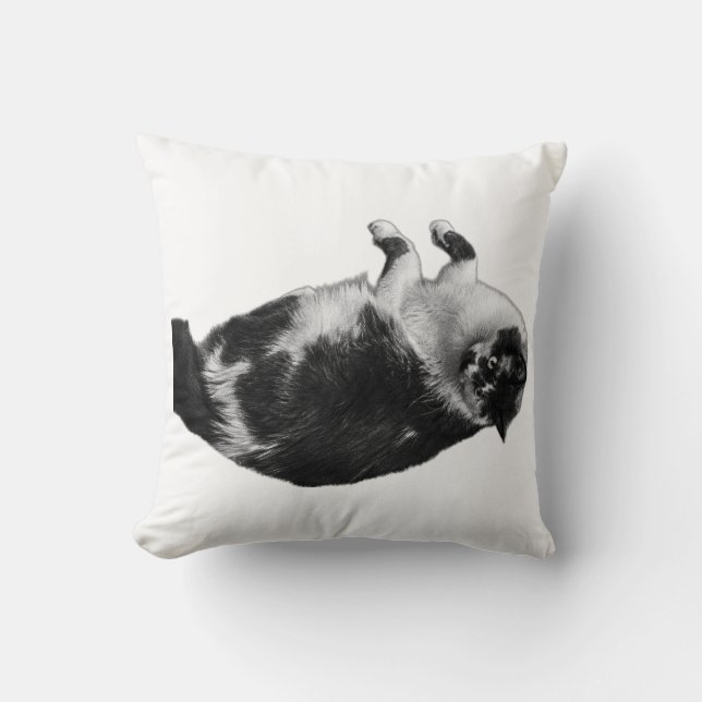  Twisted Whiskers Cat Pillow (Front)