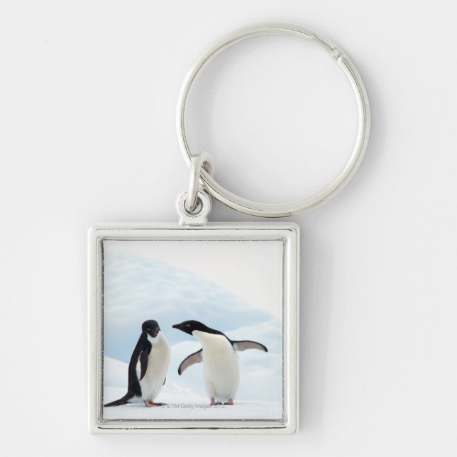 Two Adelie Penguins sitting on a sheet of ice Key Ring (Front)