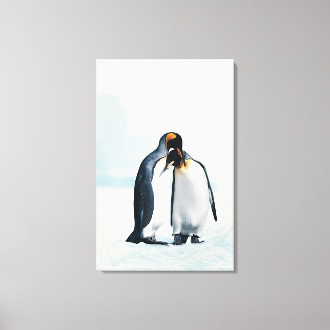 Two affectionate penguins canvas print (Front)