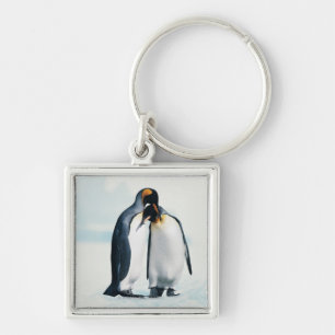Two affectionate penguins key ring