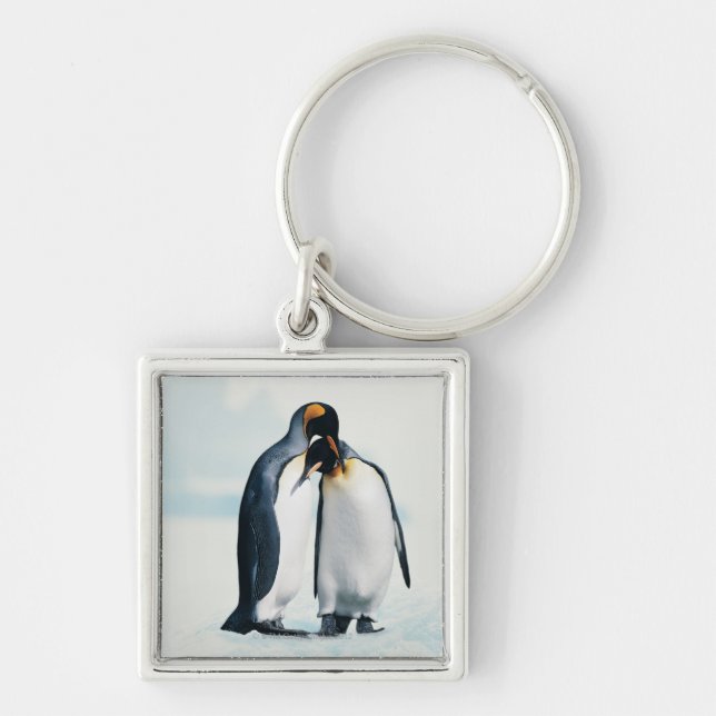 Two affectionate penguins key ring (Front)