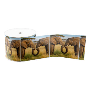 Two African Elephants In Savannah Grass Grosgrain Ribbon