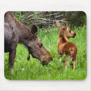 Two Alert Moose Mother And Baby Mouse Mat